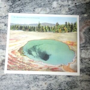 Morning Glory Spring Yellowstone Park  Haynes Postcard 5.5x6.5 and 9 Others